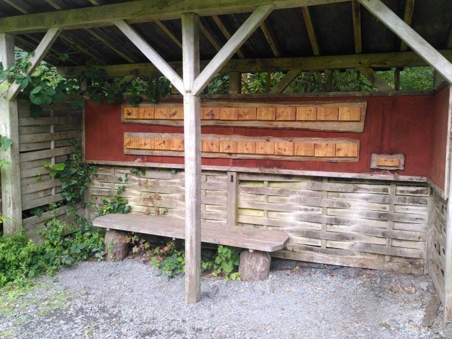 BIRD watch at&nbsp;cat