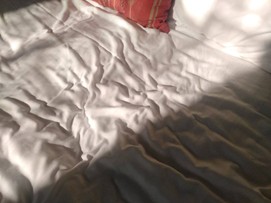 PLAS NANTEOS MANSIONS