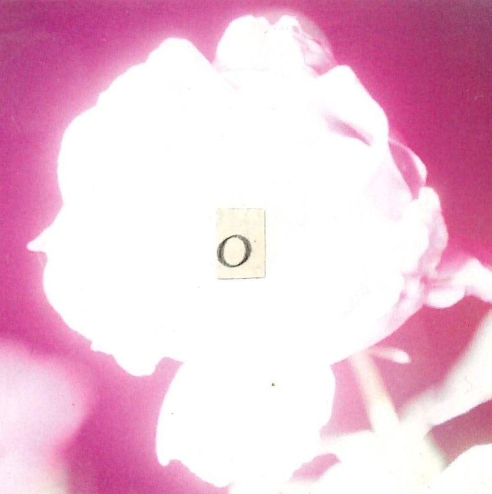 neon roses @ sploj w ruth&nbsp;hogg