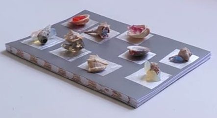 agor llyfr: open a&nbsp;book